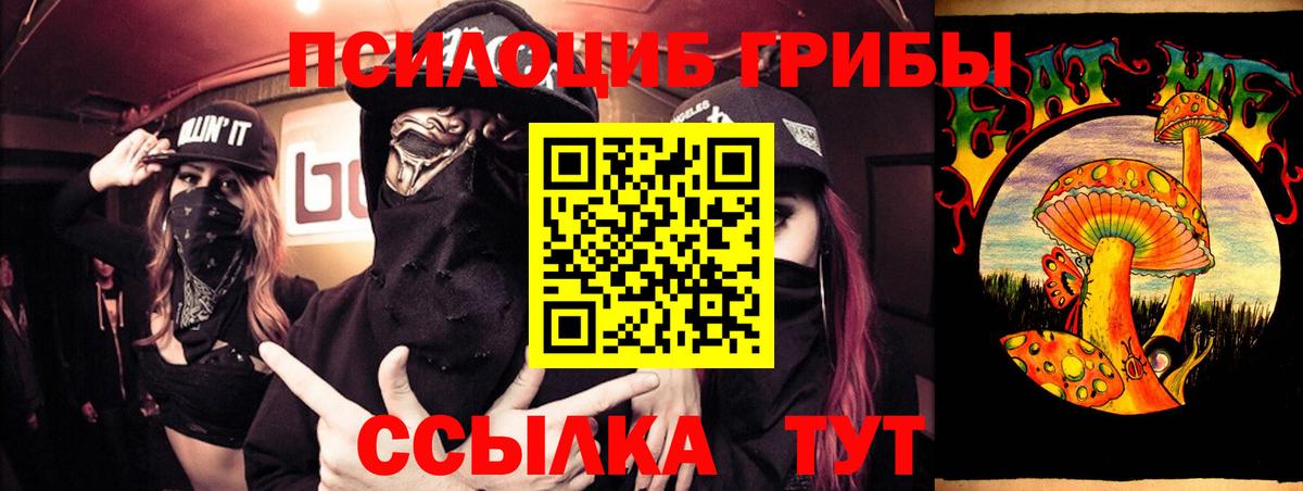 Павловский Посад  Галлюциногенные грибы Psilocybine cubensis  Вход с VPN 