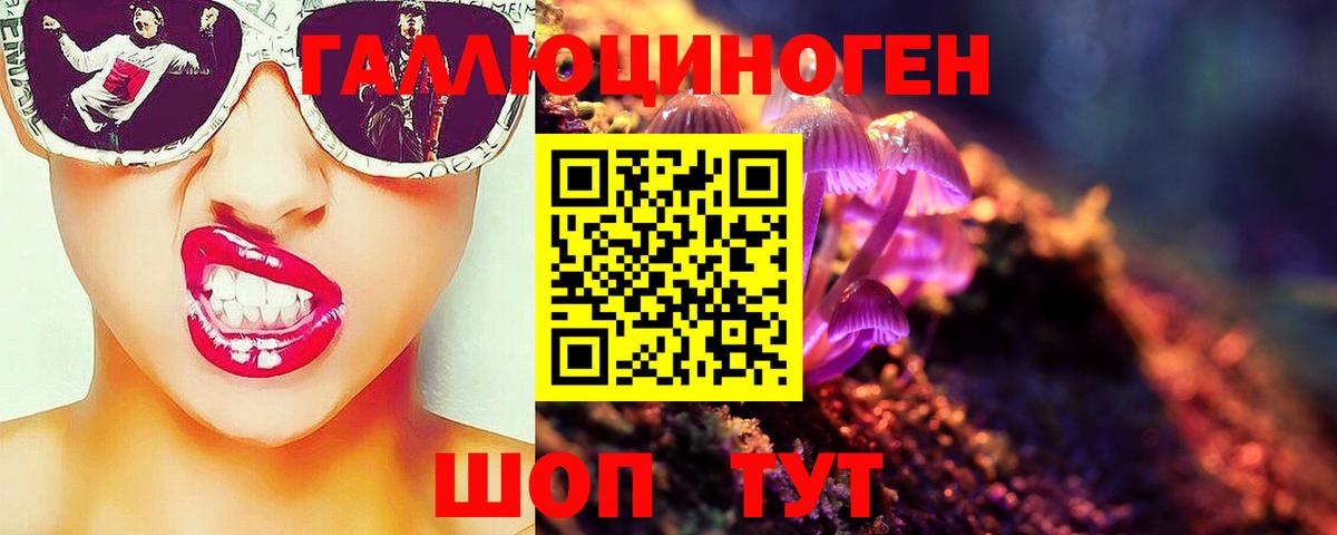Галлюциногенные грибы мицелий Павловский Посад